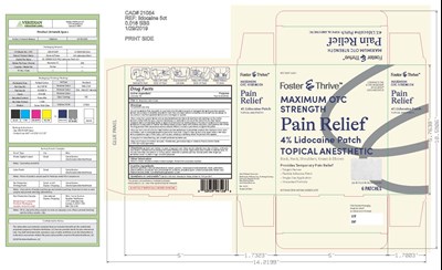Label (92 100004 0325 Pkg Lidocaine Patch 6ct.pdf)